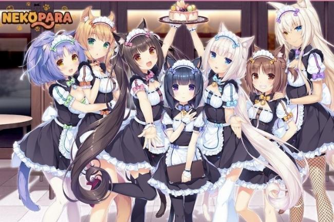 Các phiên bản chính của series game Nekopara và điểm khác biệt